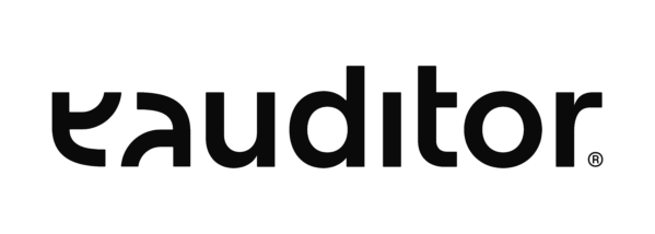 eAuditor WEB AI