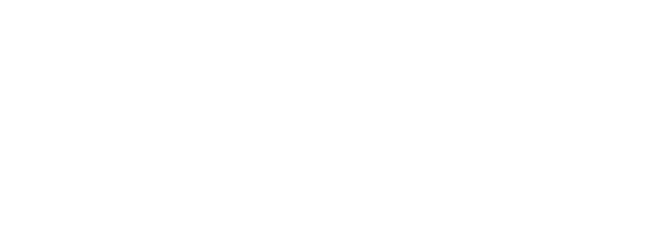 eAuditor WEB AI